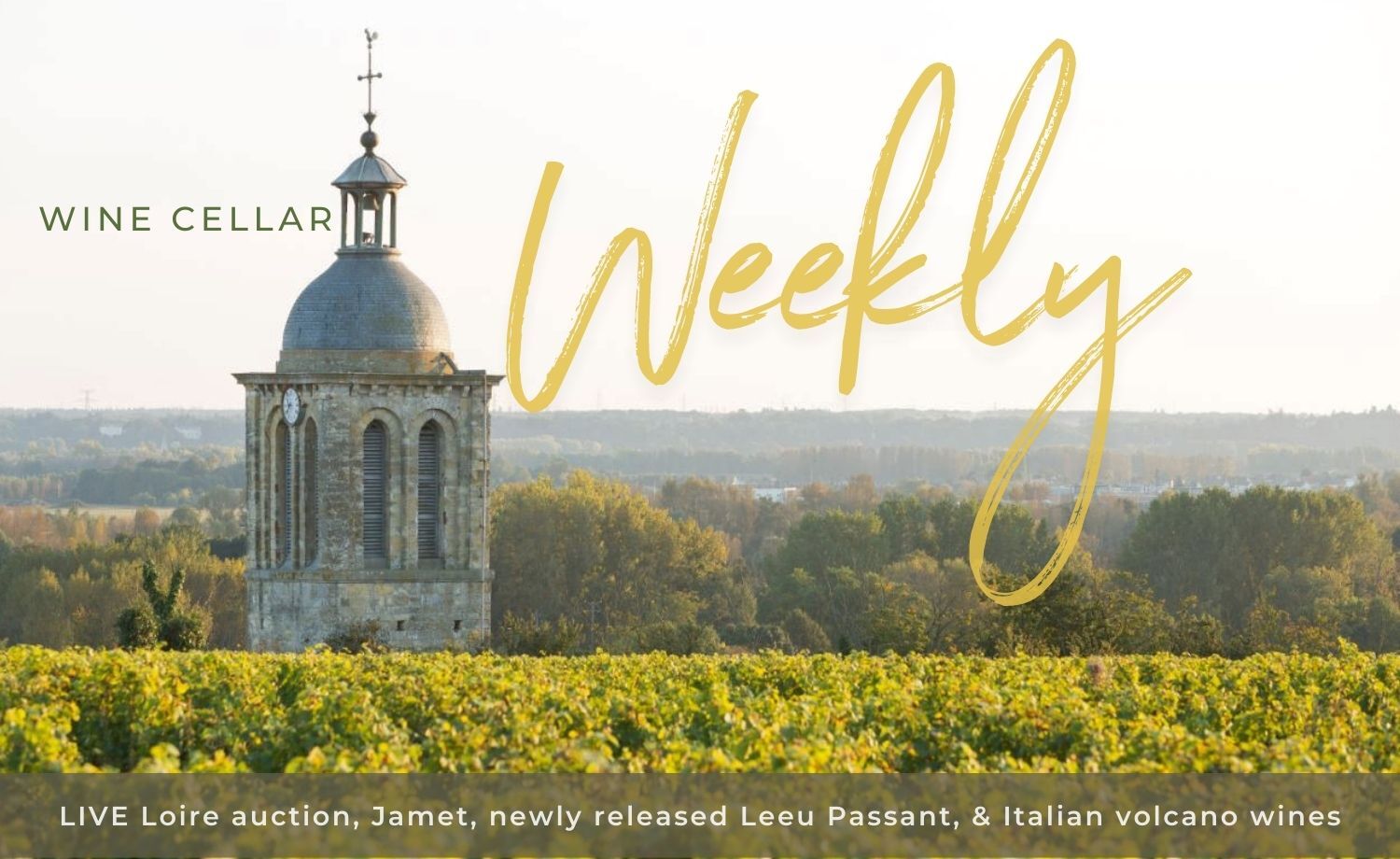 LIVE Loire auction, Jamet, newly released Leeu Passant, & Italian volcano wines