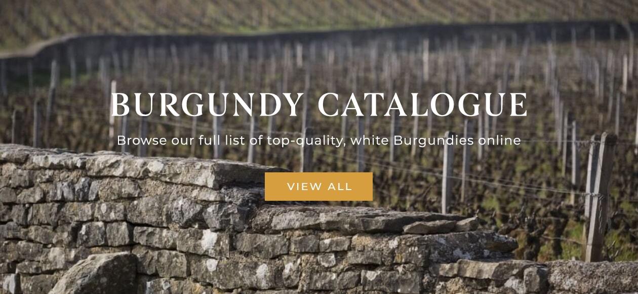 All white Burgundy wines – Order online