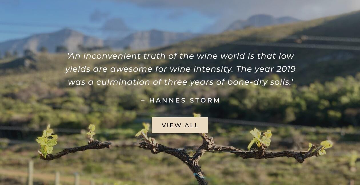 Storm Wine 2019 Pinot Noir and 2020 Chardonnay releases - View all