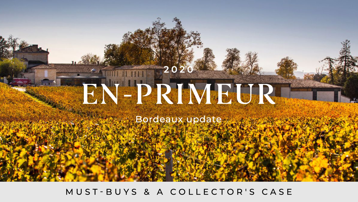 Bordeaux EP update: Must-buys and a collector's case