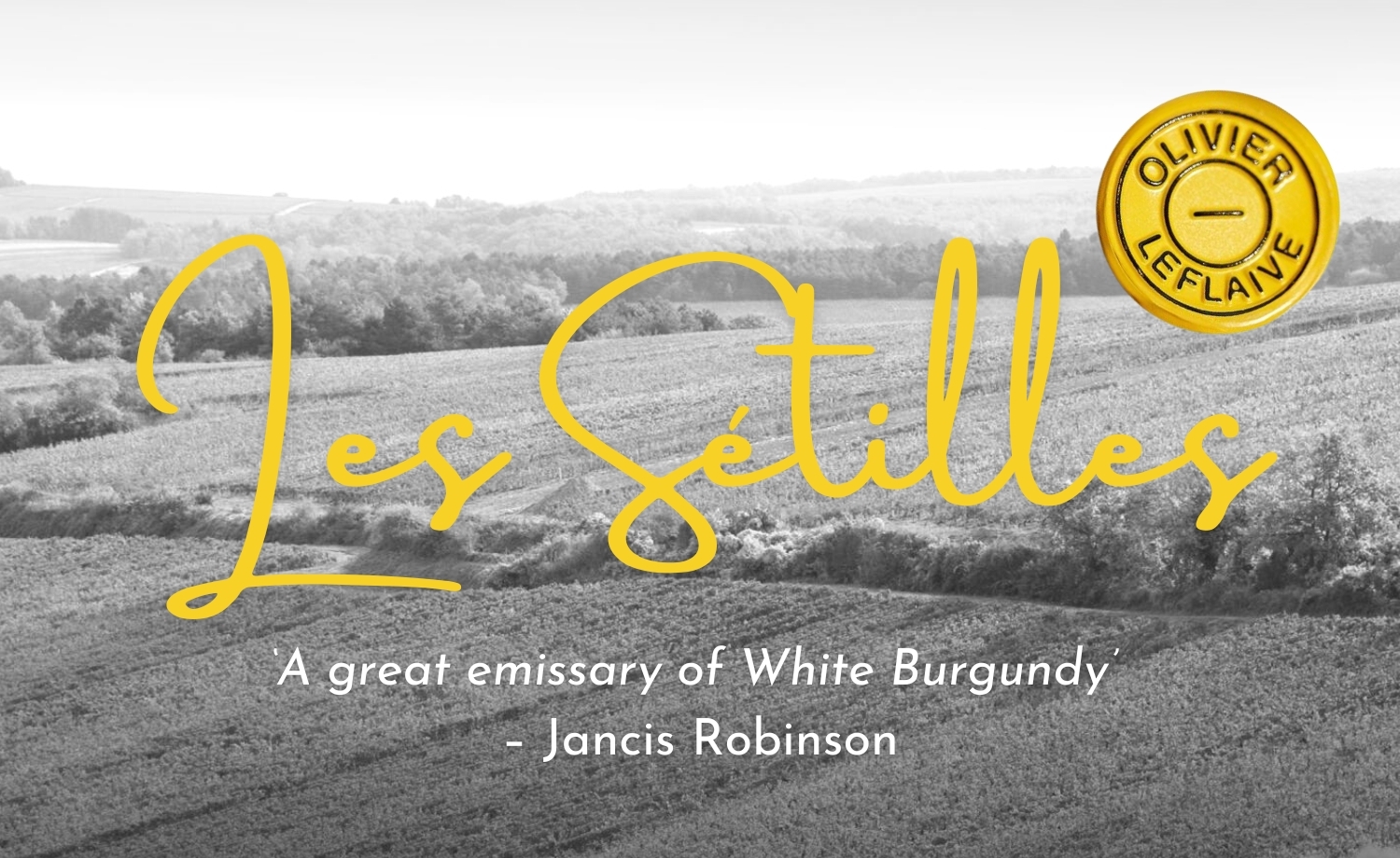 2020 Les Sétilles – ‘A great emissary of White Burgundy’ – Jancis Robinson