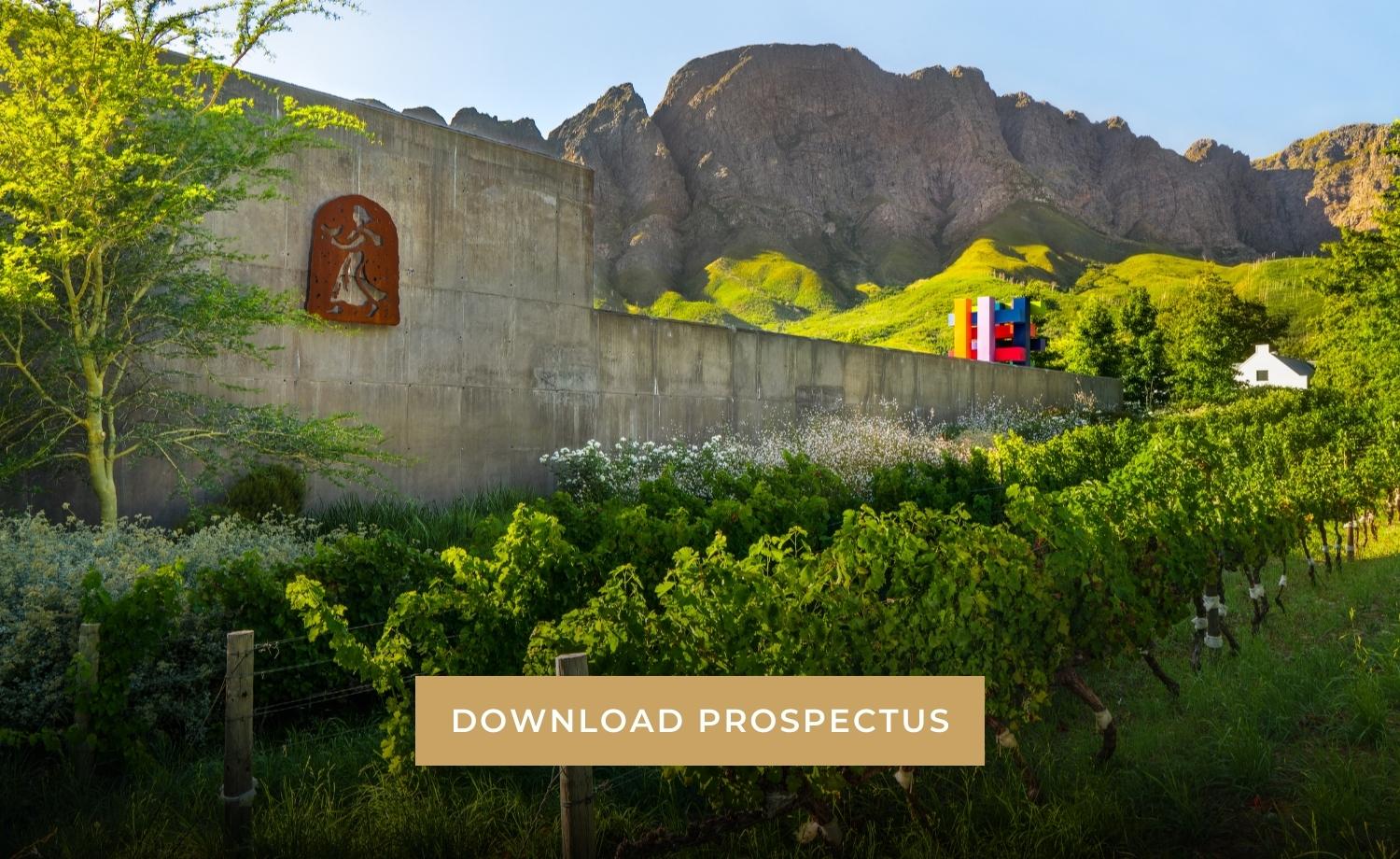 Download AIP 2025 Prospectus